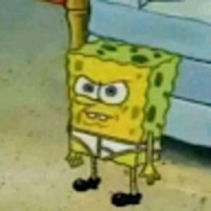 Meet your Posher, Wyatt